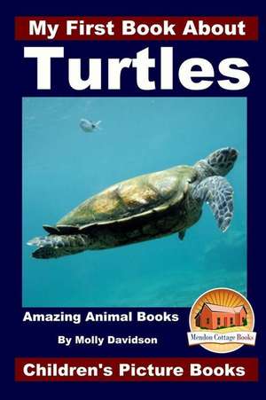 My First Book about Turtles - Amazing Animal Books - Children's Picture Books de Molly Davidson