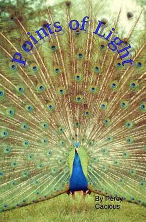Points of Light: Touches of Heaven de Percy Cacious