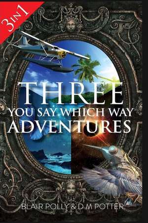 Three You Say Which Way Adventures: L'Adieu Aux Armes Du Guerrier de Blair Polly