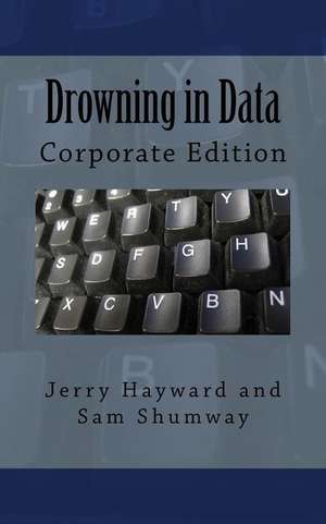 Drowning in Data: Corporate Edition de Jerry Hayward