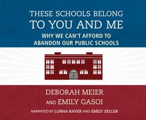 These Schools Belong to You and Me: Why We Can't Afford to Abandon Our Public Schools de Lorna Raver