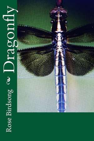 Dragonfly: Succubus Art Book Grimoire de Rose Birdsong