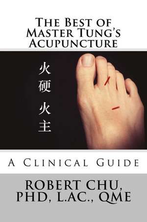 The Best of Master Tung's Acupuncture de Robert Chu Phd