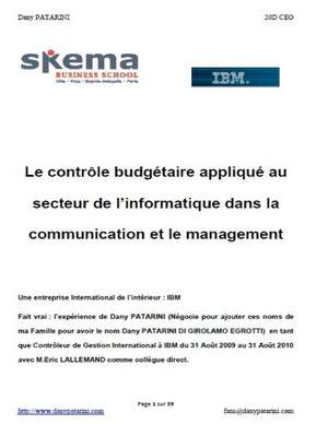 Le Controle Budgetaire Applique Au Secteur de L'Informatique Dans La Communication Et Le Management: Volume 8 de Dany Patarini