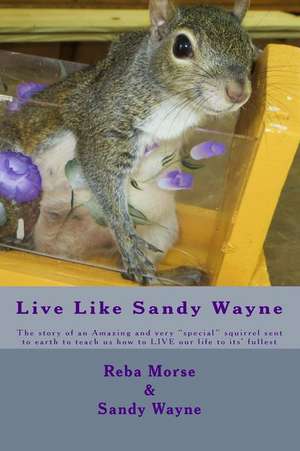 Live Like Sandy Wayne de Reba Jo Morse