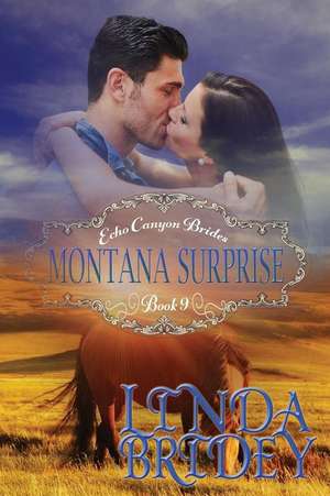 Mail Order Bride - Montana Surprise de Linda Bridey