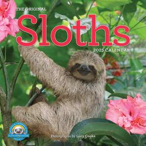 Original Sloths Wall Calendar 2025 de Lucy Cooke