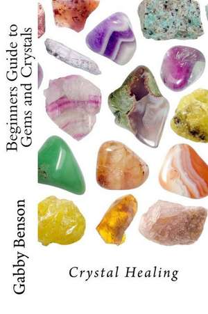 Beginners Guide to Gems and Crystals de Gabby Benson