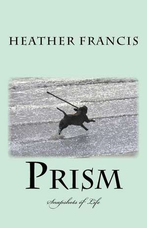 Prism de Heather Francis