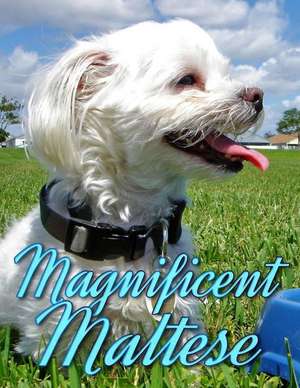 Magnificent Maltese de Ironpower Publishing