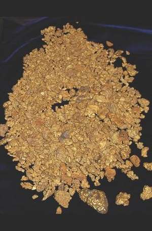 Irish Gold de Tom Norton