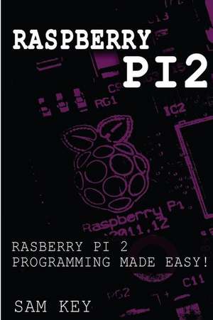 Raspberry Pi 2 de Solis Tech