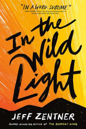 In the Wild Light de Jeff Zentner