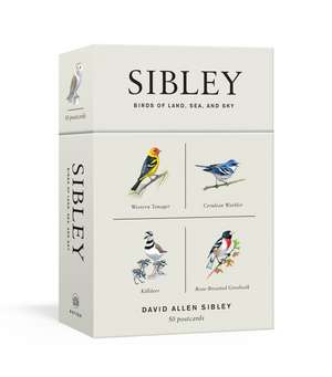 Sibley Birds of Land, Sea, and Sky de David Allen Sibley