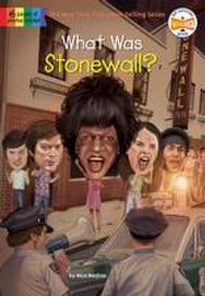 What Was Stonewall? de Nico Medina