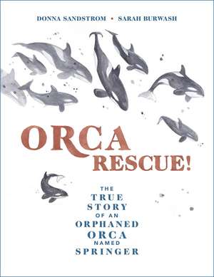 Orca Rescue!: The True Story of an Orphaned Orca Named Springer de Donna Sandstrom