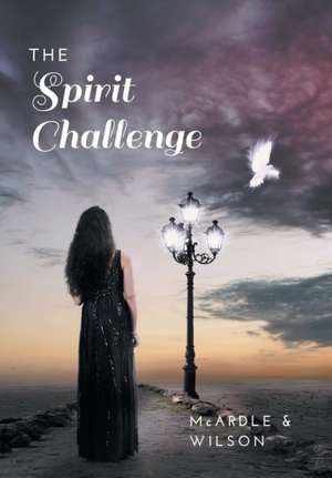 The Spirit Challenge de Rob Wilson