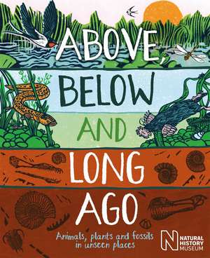 Above, Below and Long Ago: Animals, plants and fossils in unseen places de Michael Bright