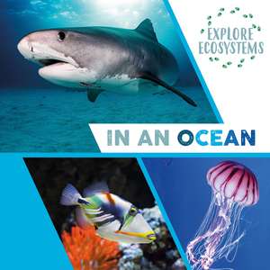 Explore Ecosystems: In an Ocean de Sarah Ridley