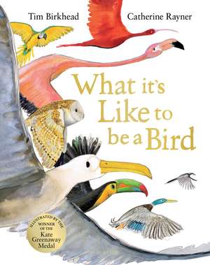 What it's Like to be a Bird de Tim Birkhead