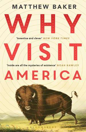 Why Visit America de Matthew Baker