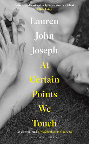 At Certain Points We Touch de Lauren John Joseph