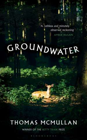 Groundwater de Thomas McMullan