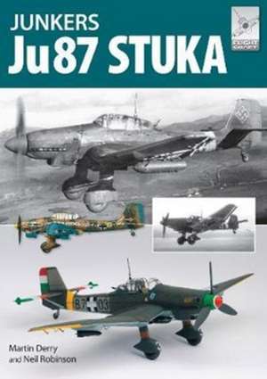 Flight Craft 12: The Junkers Ju87 de Martin Derry