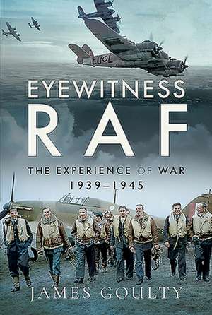 Eyewitness RAF de James Goulty