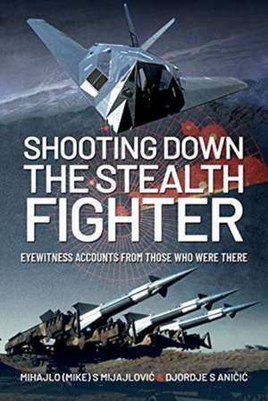 Shooting Down the Stealth Fighter de Mijajlovic