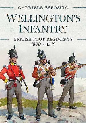 Wellington's Infantry de Gabriele Esposito