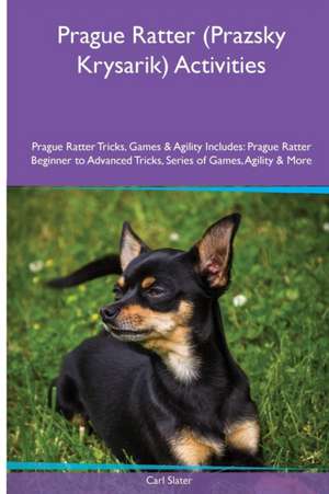 Prague Ratter (Prazsky Krysarik) Activities Prague Ratter Tricks, Games & Agility. Includes de Carl Slater