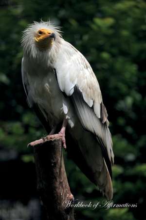 Egyptian Vulture Workbook of Affirmations Egyptian Vulture Workbook of Affirmations de Alan Haynes