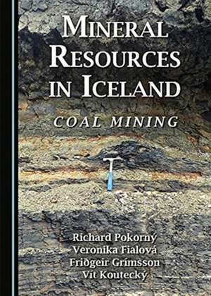 Mineral Resources in Iceland de Fridgeir Grimsson