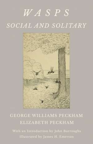 Wasps - Social and Solitary - With an Introduction by John Burroughs - Illustrated by James H. Emerton de George Williams Peckham