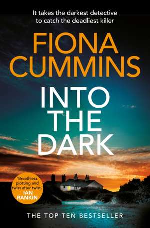 Into the Dark de Fiona Cummins