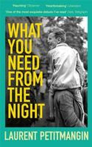 What You Need From The Night de Laurent Petitmangin