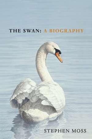 The Swan de Stephen Moss