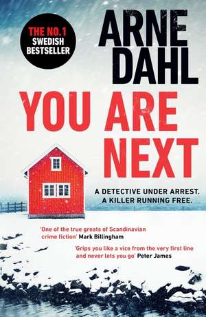 You Are Next de Arne Dahl