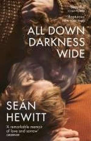 All Down Darkness Wide de Seán Hewitt