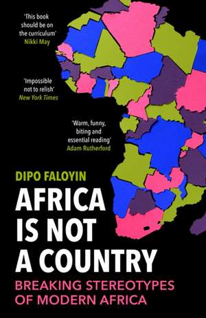 Africa Is Not A Country de Dipo Faloyin