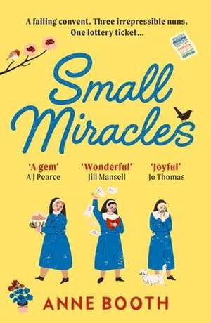 Small Miracles de Anne Booth