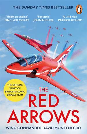 The Red Arrows de David Montenegro