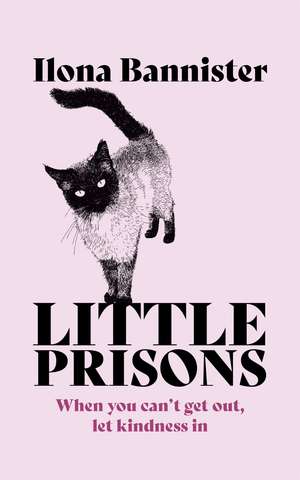 Little Prisons de Ilona Bannister