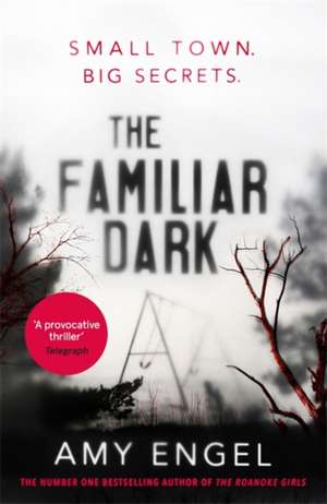 The Familiar Dark de Amy Engel