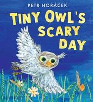 Tiny Owl's Scary Day de Petr Horacek