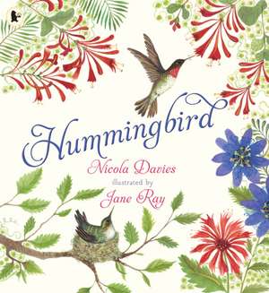 Hummingbird de Nicola Davies