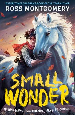 Small Wonder de Ross Montgomery