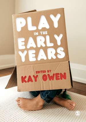 Play in the Early Years de Kay Owen