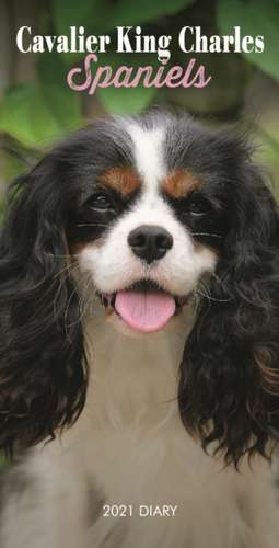 CAVALIER KING CHARLES SPANIELS SLIM DIAR